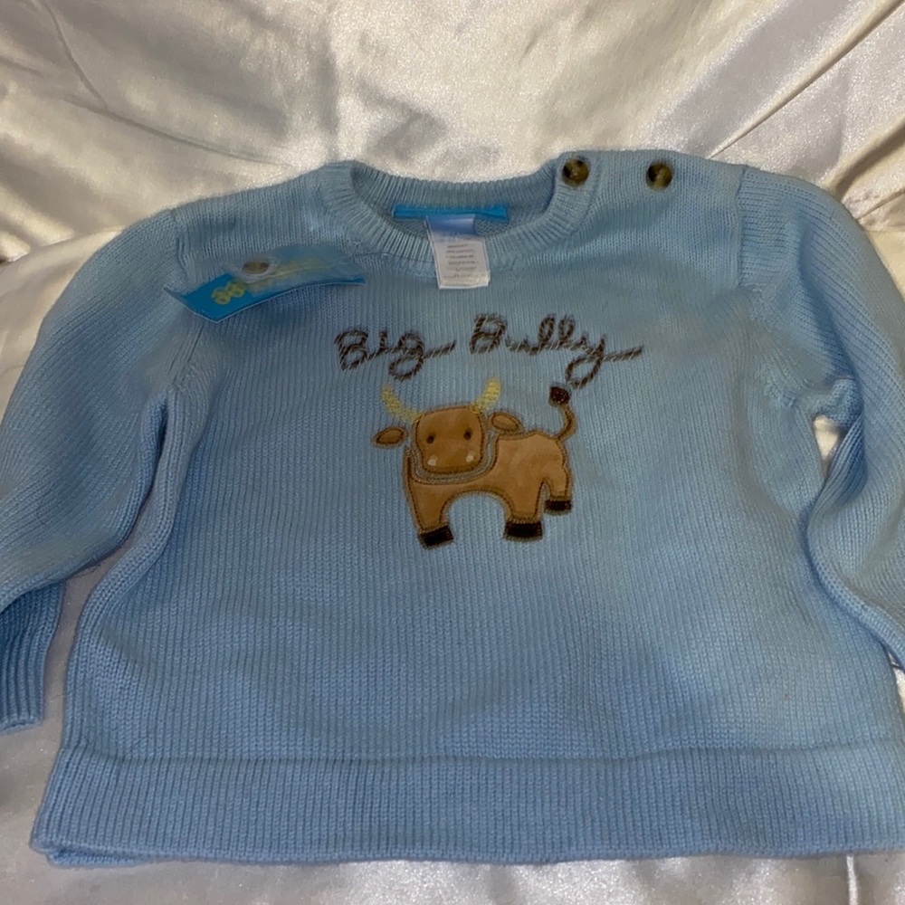 Gymboree Big Bully sweater